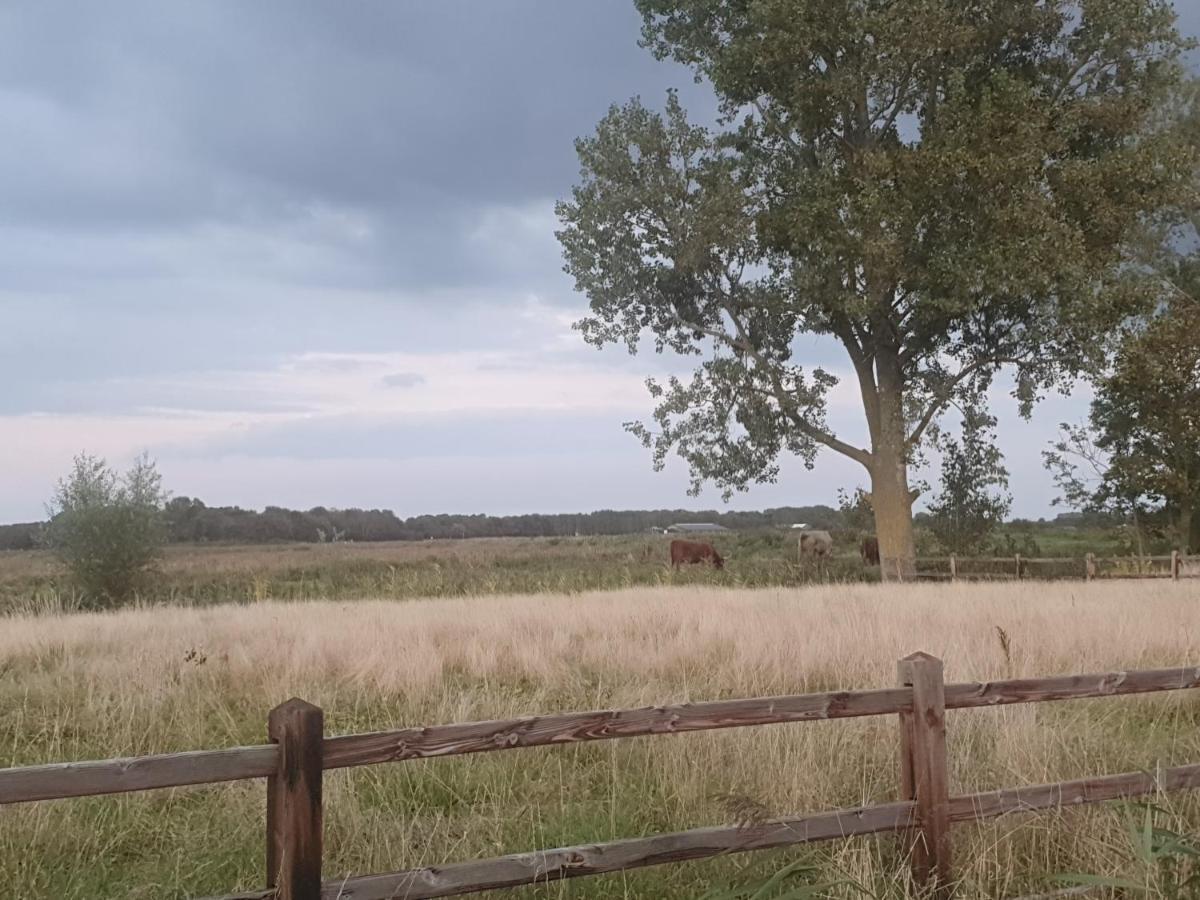 Cottage Geestmerambacht, Een Nieuw Vrijstaande Sfeervol En Landelijk Gelegen Vakantiewoning Koedijk 외부 사진